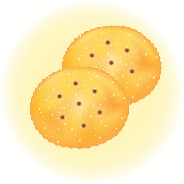 ilustraciones, imágenes clip art, dibujos animados e iconos de stock de hermoso galleta ilustración - whole wheat