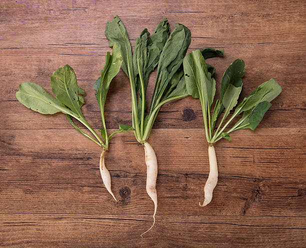 istock Daikon radish on the wood background 523696992