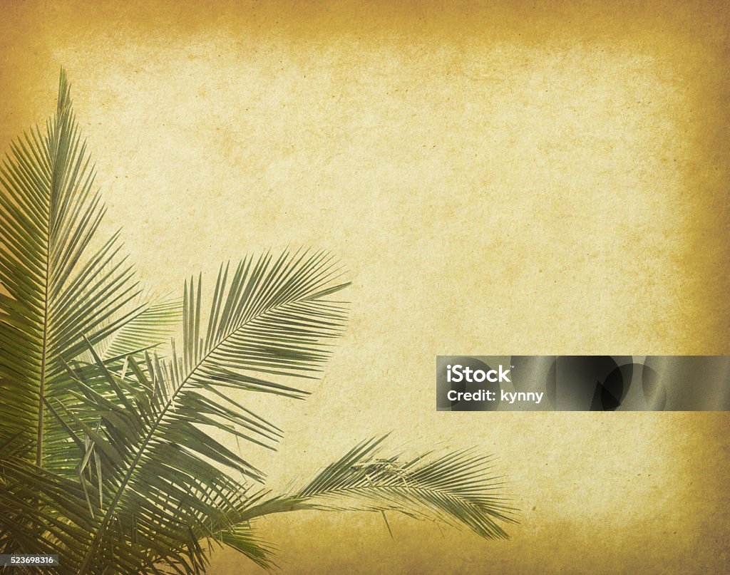 palm tree  on old paper background Botany Stock Photo