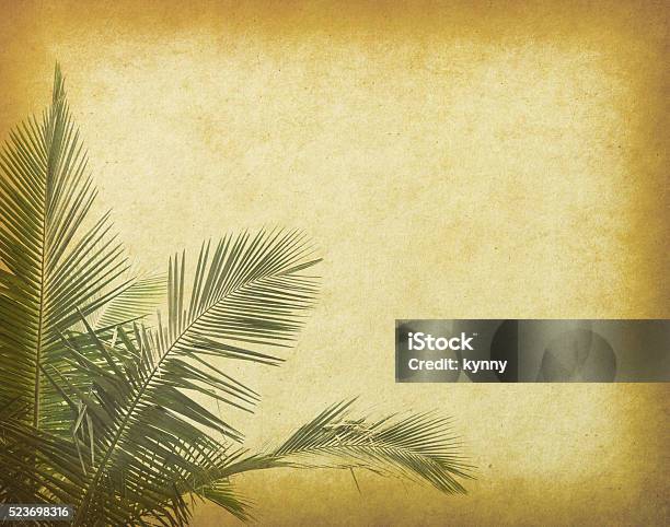 Palm Tree On Old Paper Background Stock Photo - Download Image Now - Botany, Branch - Plant Part, Close-up