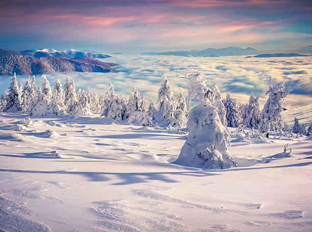 istock Colorful winter sunrise in the mountains. 523698947