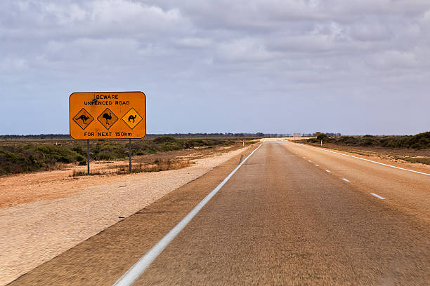 istock WA Highway Wildlife sign 150 km 523699354