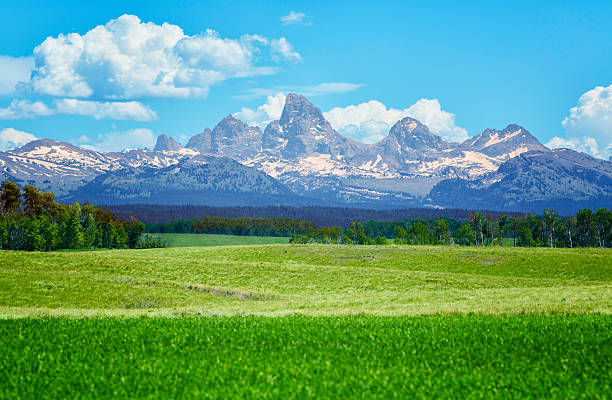 скалистые горы над айдахо поля - idaho mountains стоковые фото и изображения