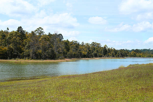 istock The Lake View With Forest and Blue Sky Background 523701742