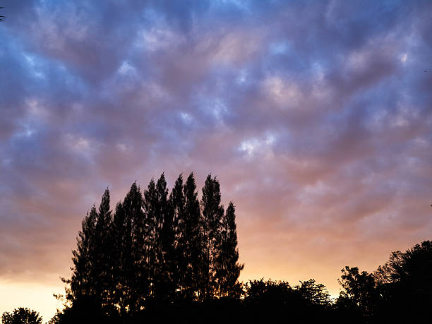 Dramatic sunrise silouette cloudscape stock photo