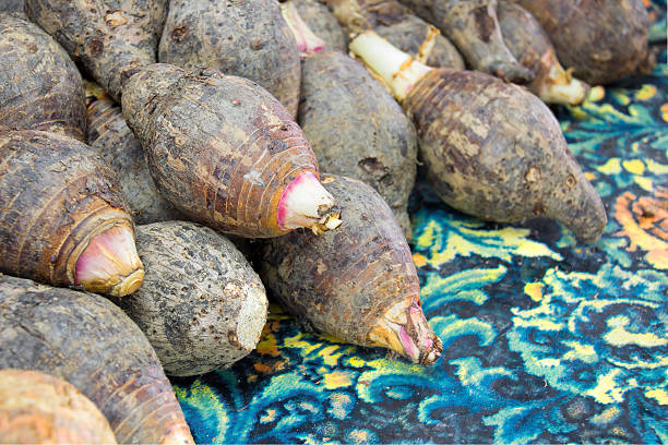 istock pile of taro for retai 523703670