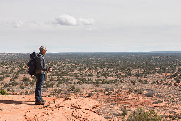 istock Man with backpack  and walking stick looks at deserted land 523703842