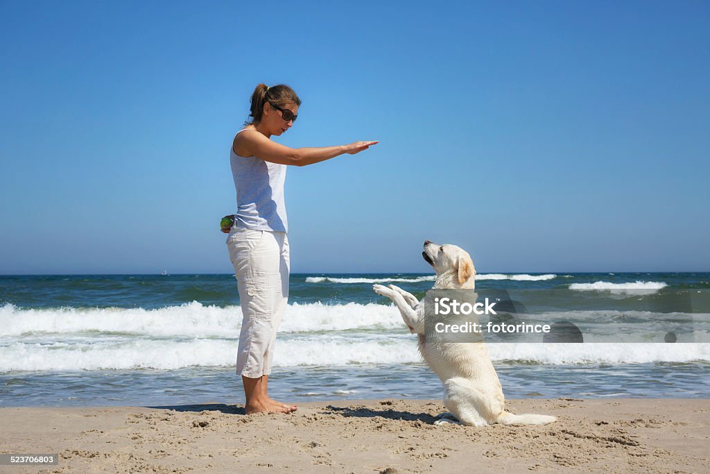 Woman plays with dog on beach Activity Stock Photo