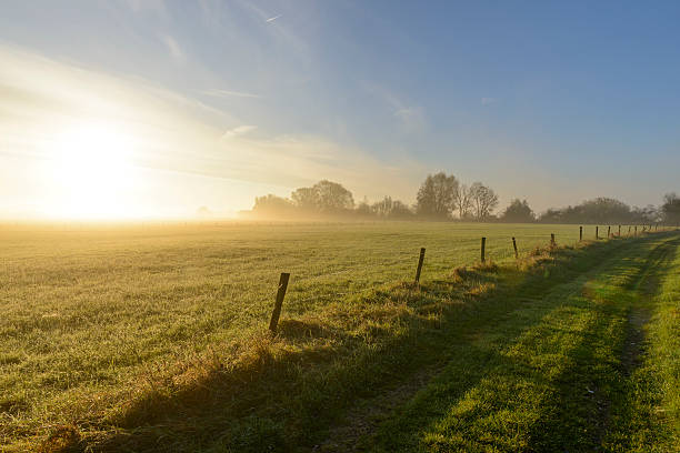 istock Path in an Autumn morning landscape 523707065
