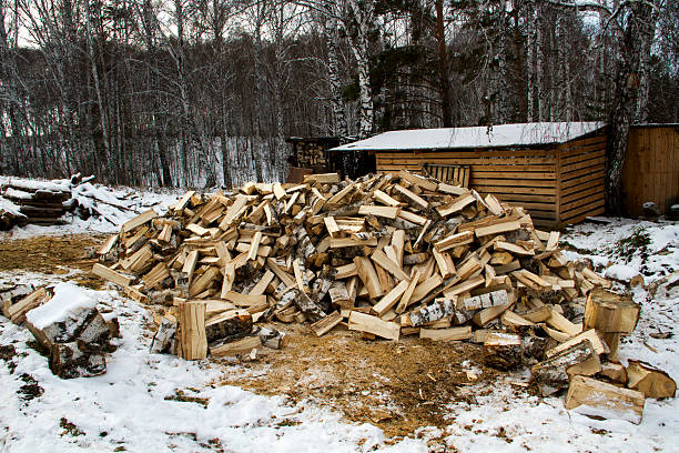 istock Chopped wood. Preparing for the winter season. 523708065
