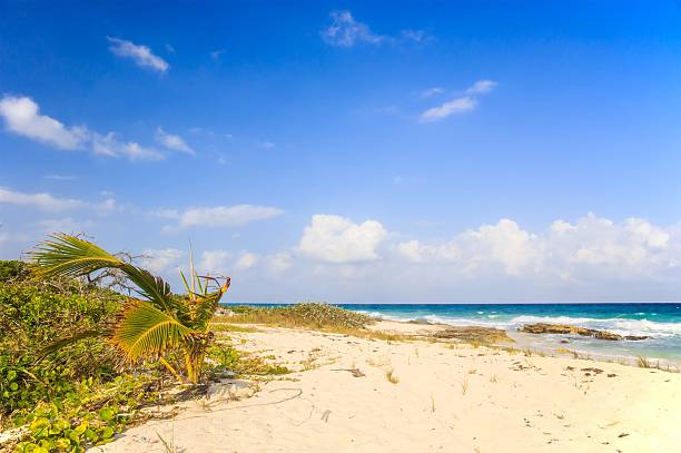 istock Playa Del Carmen beach, Mexico 523709665