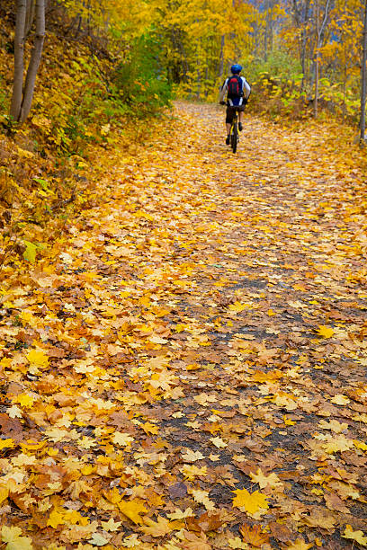 istock Autumn Bike Ride 523713191