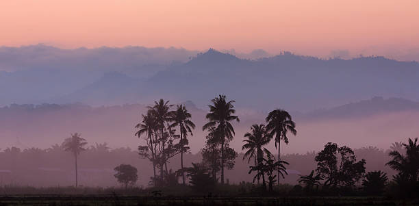 Layers of misty hills at sunrise in Kota Marudu, Sabah, East Malaysia, Borneo