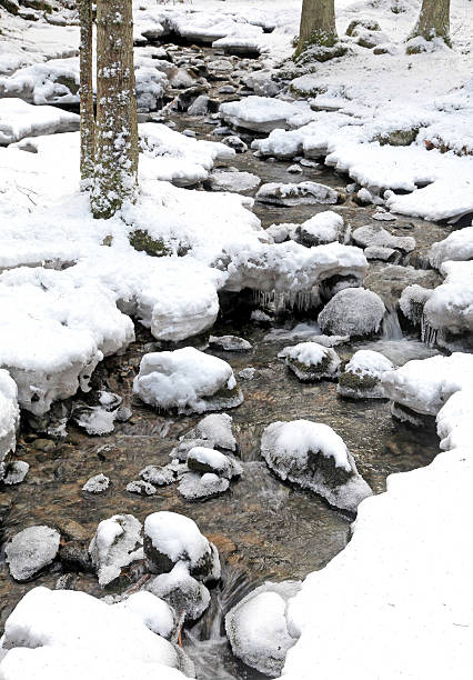 istock Winter nature at Low Tatras, Slovakia 523725641