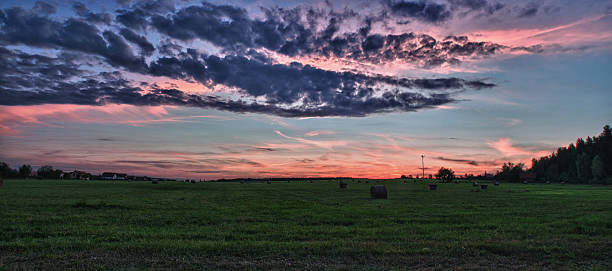 istock Hay bales  on a meadow  in  sunset 523725725