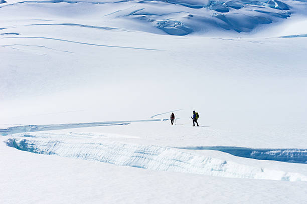 istock New Zealand 523725833