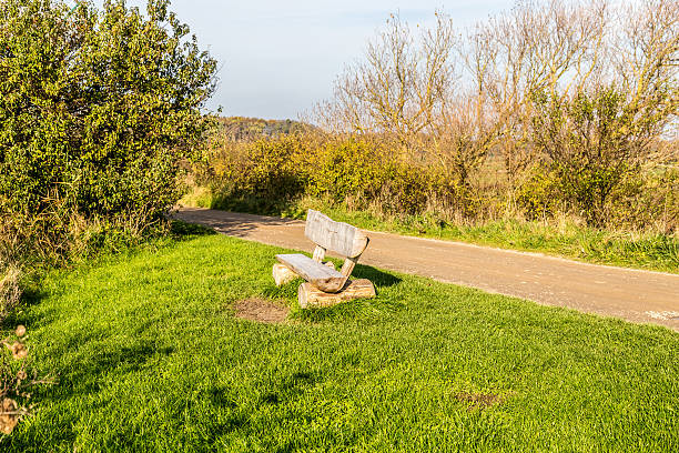 lugar para disfrutar del sol en el geltinger birk - sandweg fotografías e imágenes de stock