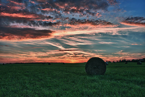 istock Hay bales  on a meadow  in  sunset 523726827