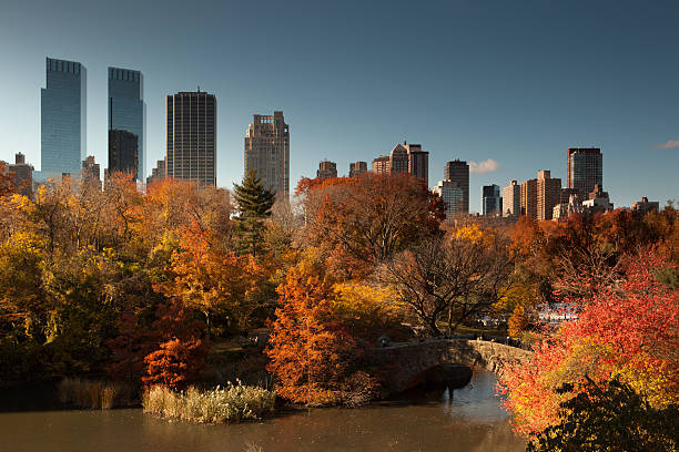 istock Autumn Trees Central Park Pond in New York City 523734699