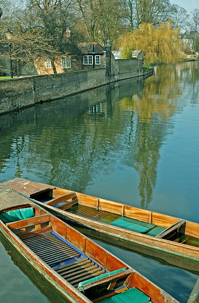 istock Punts on Cam River across from college in Cambridge UK 523734701