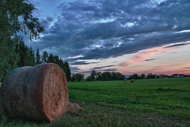 istock Hay bales  on a meadow  in  sunset 523735925