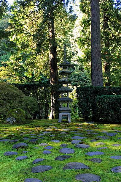Japanese Tea Garden stone tower surrounded by trees Japanese stone tower in the Portland Oregon Tea Gardens. Moss and stepping stones assembled on the ground in front of the stone tower, with trees and shrubs in the background. Taken during the daytime, with natural sunlight shining through the trees. Colors of green and gray predominant. portland japanese garden stock pictures, royalty-free photos & images