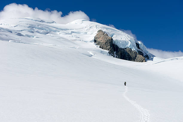 istock New Zealand 523739627