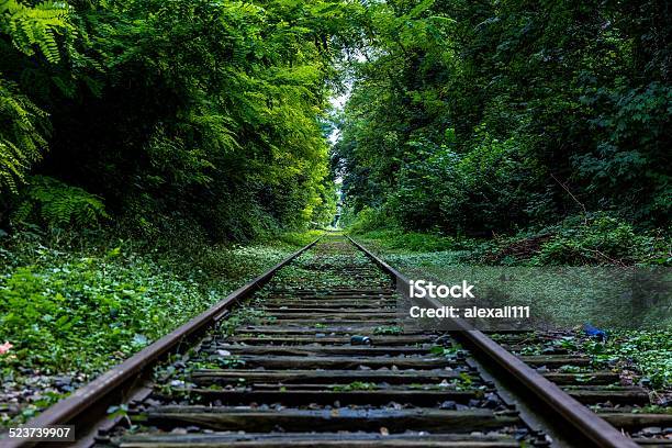 Railway In Green Stock Photo - Download Image Now - Cold Temperature, Environmental Conservation, Forest