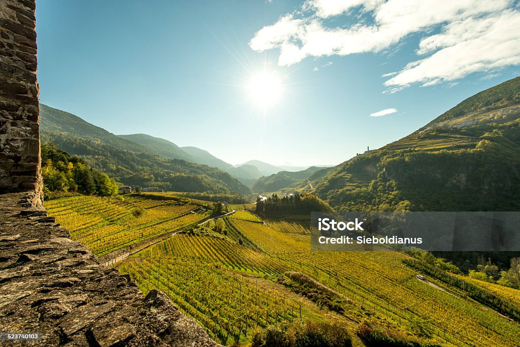 Wine terraces in Cembra Valley (Trentino) viewed from Castello di_Segonzano Wine terraces in Cembra Valley (Trentino) viewed from Castello di Segonzano Vineyard Stock Photo