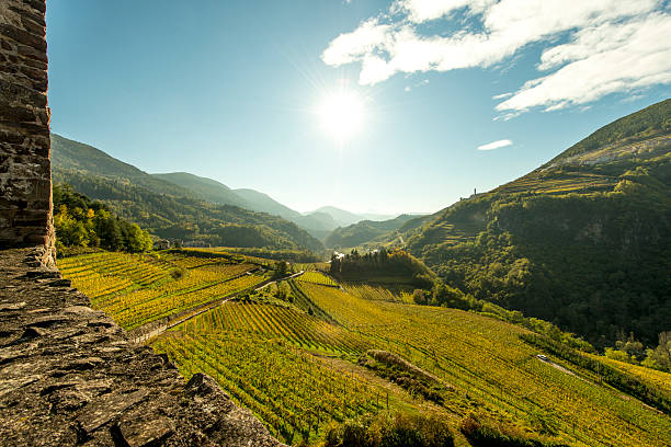 Wine terraces in Cembra Valley (Trentino) viewed from Castello di_Segonzano stock photo