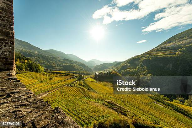 Wine Terraces In Cembra Valley Viewed From Castello Disegonzano Stock Photo - Download Image Now
