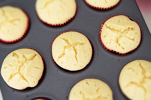 istock Overhead view of vanilla cupcakes cooling in a tray 523741013