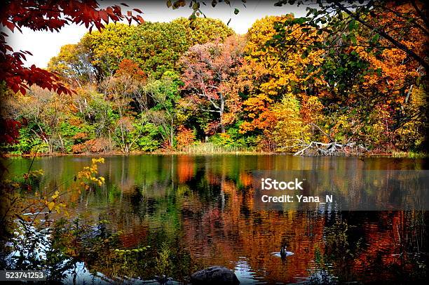 Autumn Reflection Stock Photo - Download Image Now - Autumn, Autumn Leaf Color, Blue