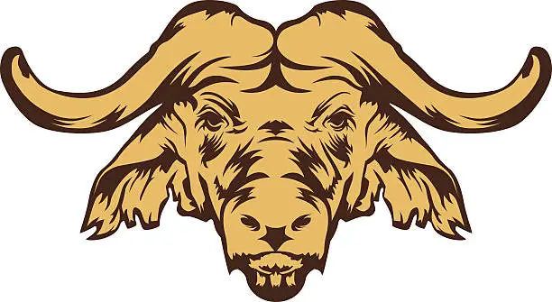 Vector illustration of buffalo head