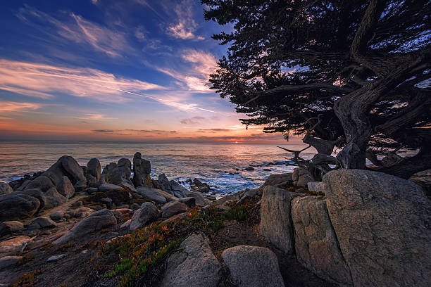 istock Rocky Coastline - Seal Rock, CA 523762926