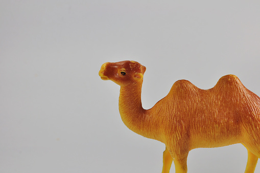 Camel brown toy on a white background