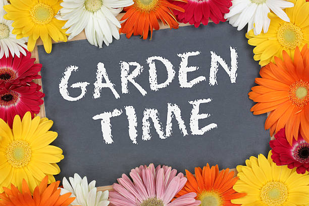 istock Garden time with colorful flowers flower board 523765820