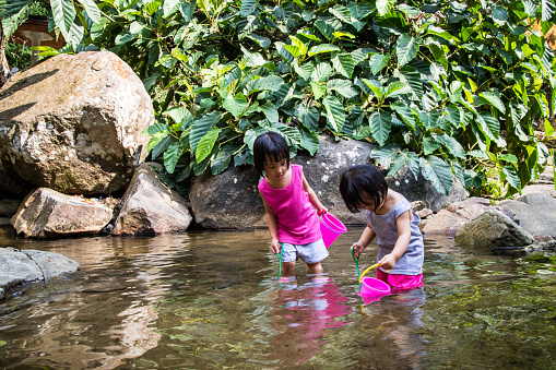 Asian Little Chinese Girls Playing in Creek in the Forest