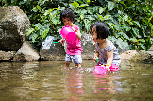 Asian Little Chinese Girls Playing in Creek in the Forest