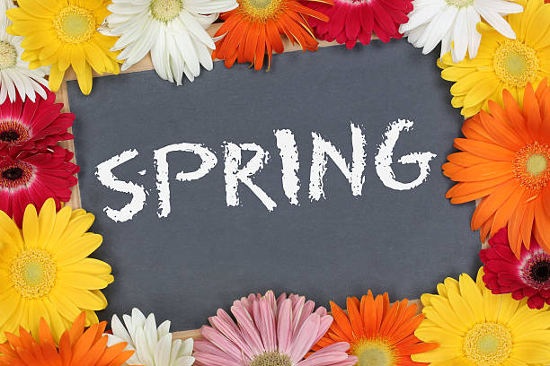 istock Spring springtime in garden with colorful flowers flower board 523768780