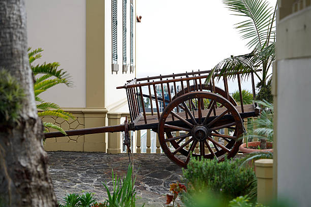 istock wooden cart 523768944