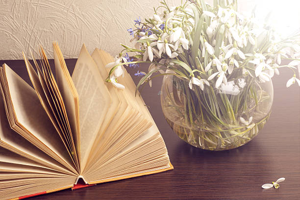 istock Open book on a pillow in bed. homeliness. 523770630