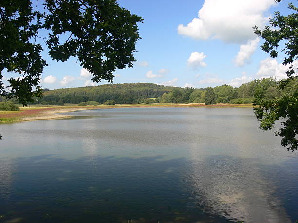 istock Lake on the Vogelsberg 523771974