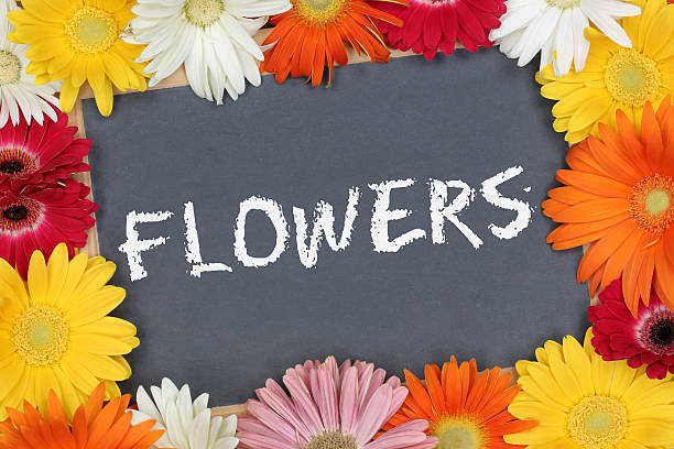istock Colorful flowers flower in garden board 523772420