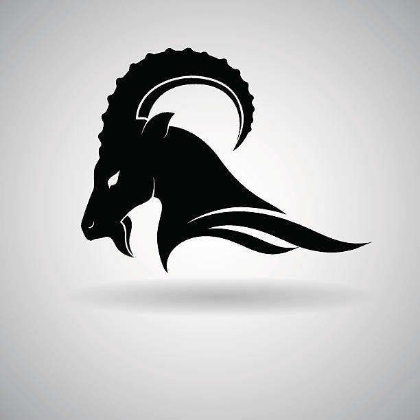 Goat Black Goat Head Vector Design dark outline - vector illustration ram stock illustrations