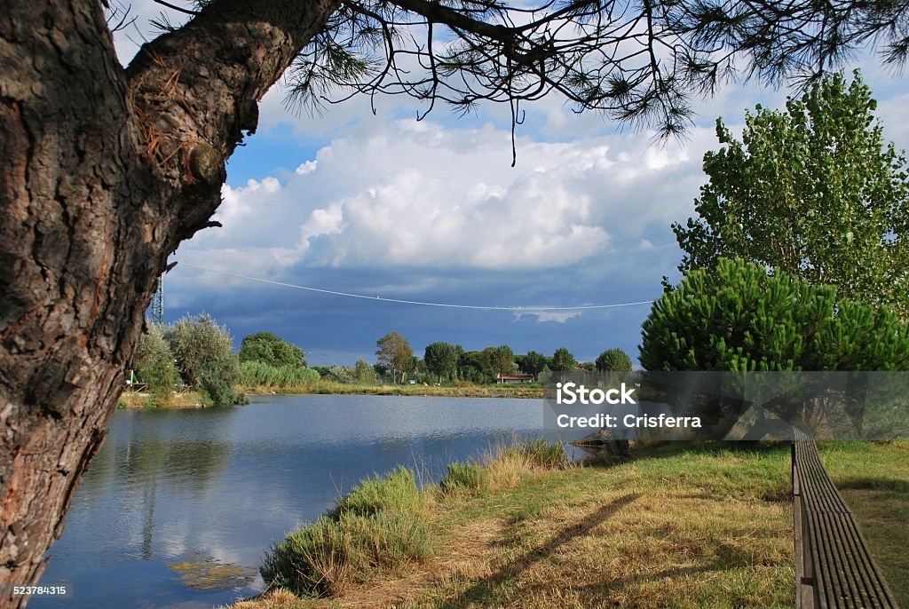 Piccolo Lago - Foto stock royalty-free di Bagno