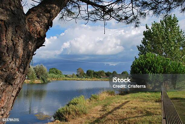 Piccolo Lago - Fotografie stock e altre immagini di Bagno - Bagno, Albero, Ambientazione esterna