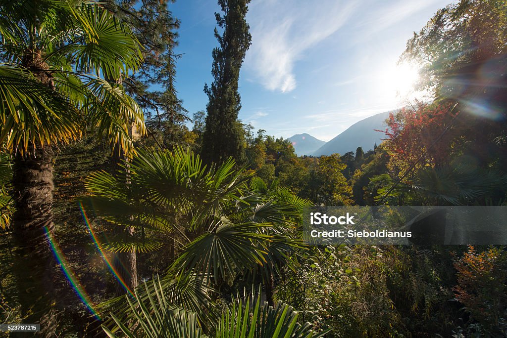 Public space design of Merano (South Tyrol) in autumn. Public space design of the City of Merano (South Tyrol) in autumn with park trees. Alto Adige - Italy Stock Photo