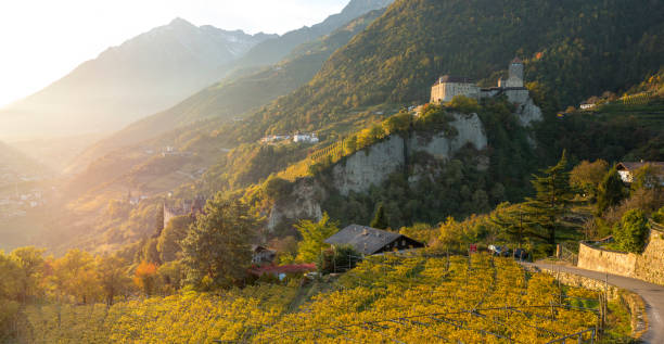 castelo tyrol acima da cidade de merano (itália) ao pôr do sol. - merano imagens e fotografias de stock