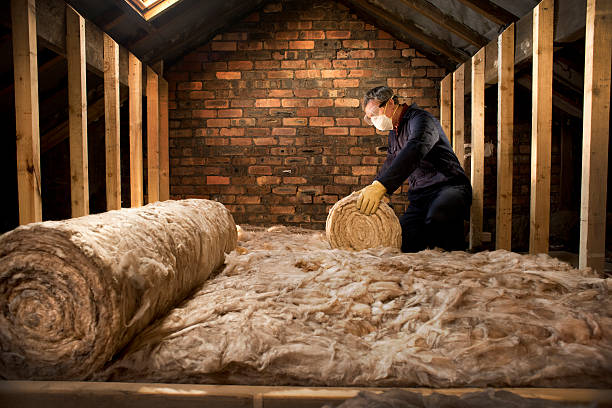 isolation épais - insulation roof attic home improvement photos et images de collection